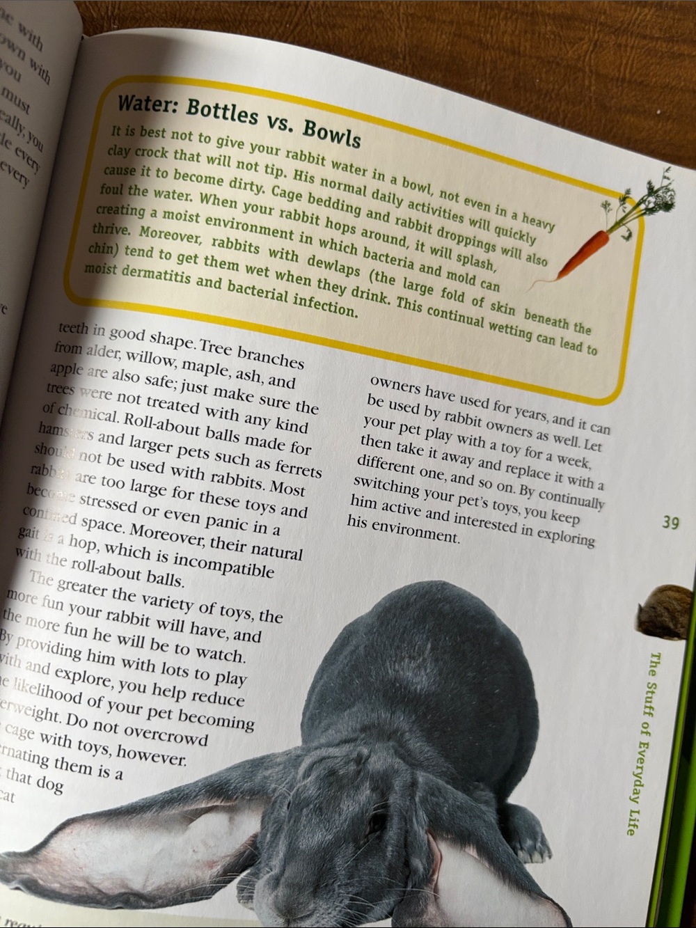 Animal Planet- Rabbits Book - Picture 6 of 6